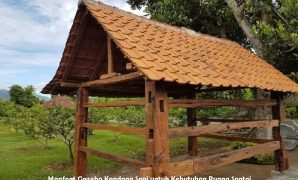 Gazebo Kandang Sapi