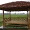 Gazebo Sawah